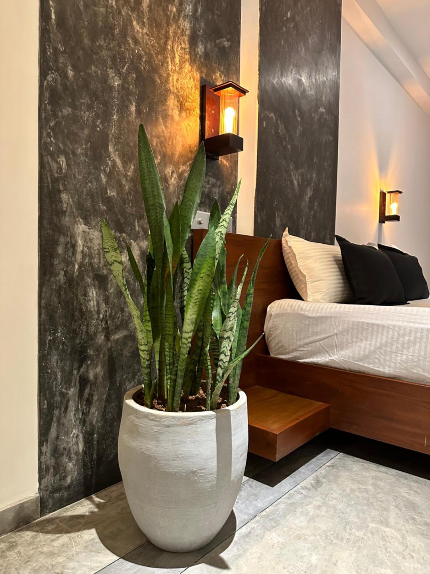 Ami Mirissa Hotel Ngoại thất bức ảnh